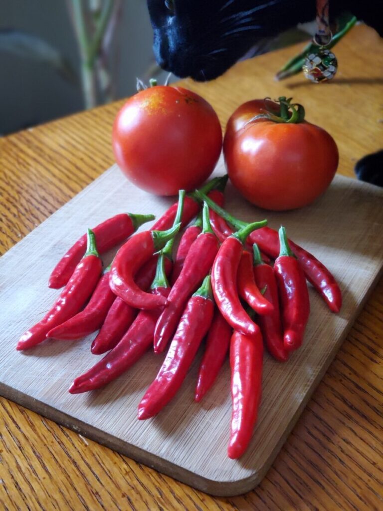 Enchilada Sauce w/ Red Chilis, Garden, Tomatoes, Red Chilis, Esméralda