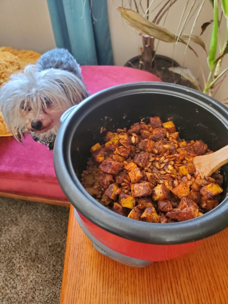 Lentils w/ Cinnamon Roasted Squash & Habaneros, Bridget