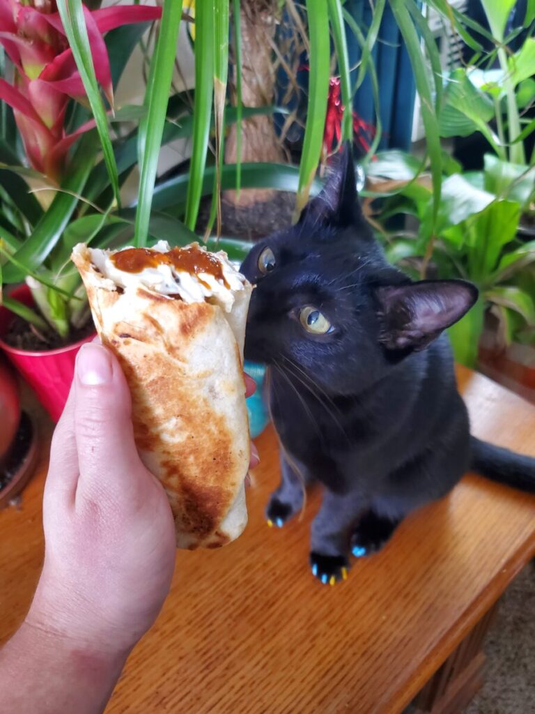 Burrito w/ Cinnamon Roasted Squash Lentils, Esmérelda