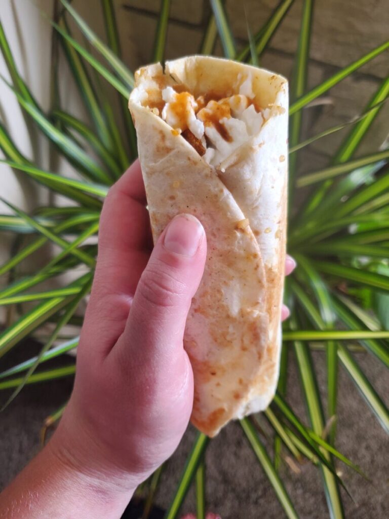 Burrito w/ Roasted Pumpkin & Cranberry Curry