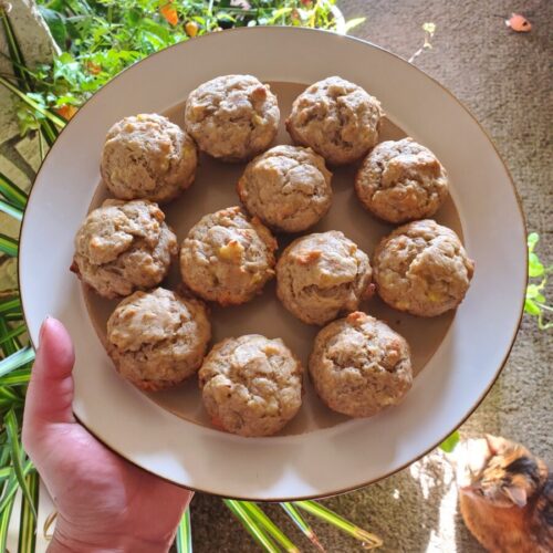 Sugar-Free Banana Nut Muffins