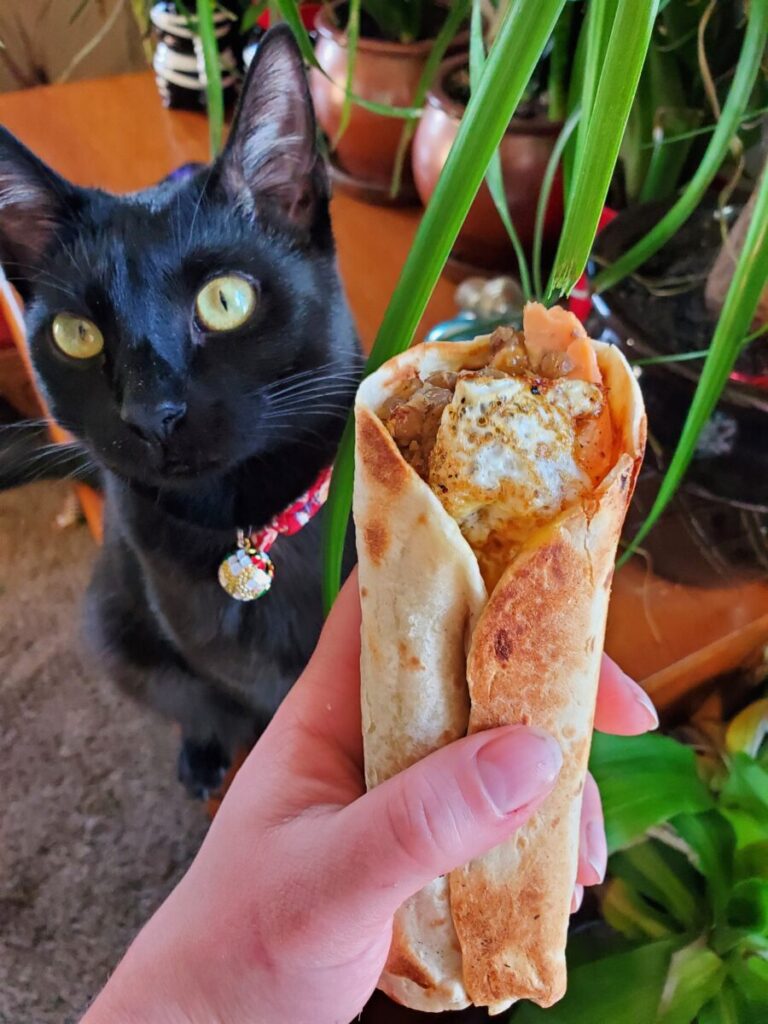 Burrito w/ Salmon, Lentils, & Runny Egg