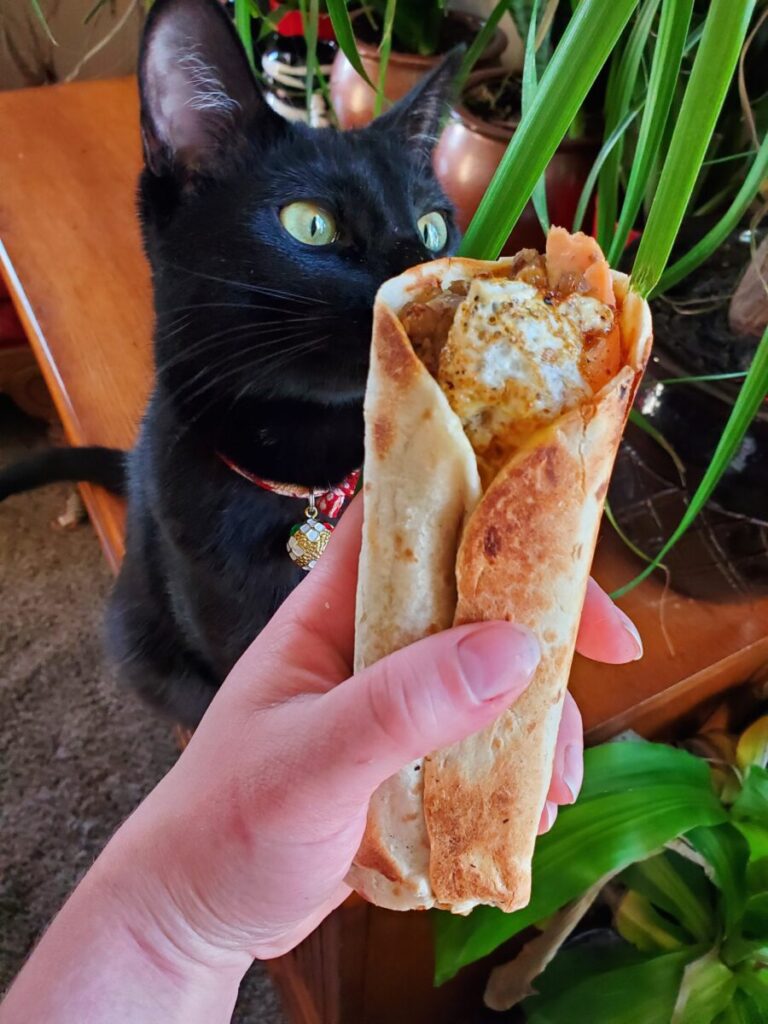 Burrito w/ Salmon, Lentils, & Runny Egg