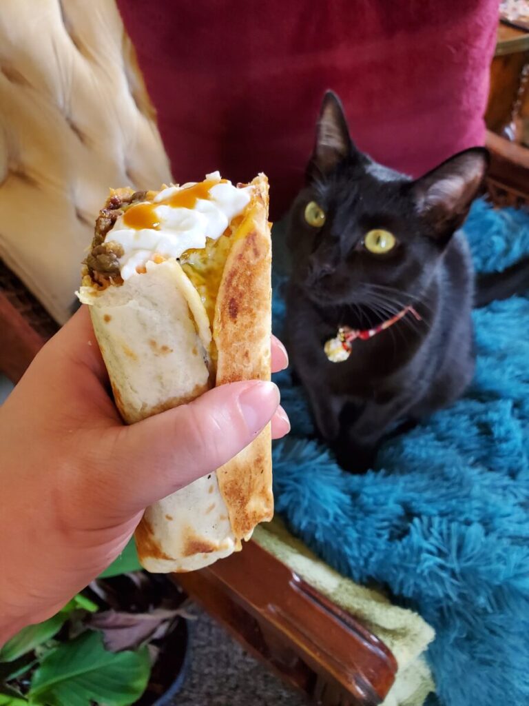 Burrito w/ Salmon, Lentils, & Runny Egg