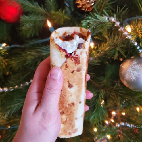 Thanksgiving Leftover Burrito w/ Lentils, Mashed Potatoes, & Cranberry Sauce