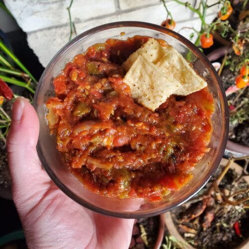 Salsa w/ Roasted Tomatoes & Bell Peppers