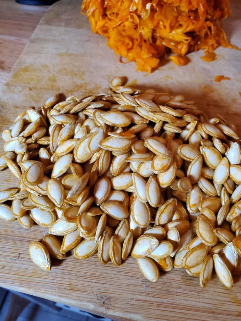 Roasted Calabaza Squash Seeds