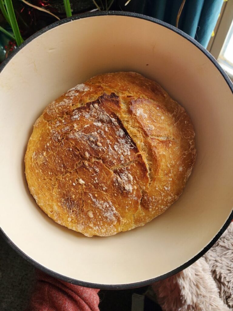 No-knead Dutch Oven Bread w/ Bread Basket - Catfish Out of Water