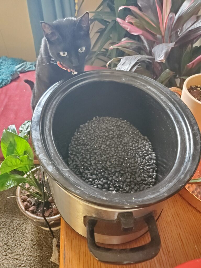 Slow Cooker Black Beans w/ Smoked Paprika, Esmérelda