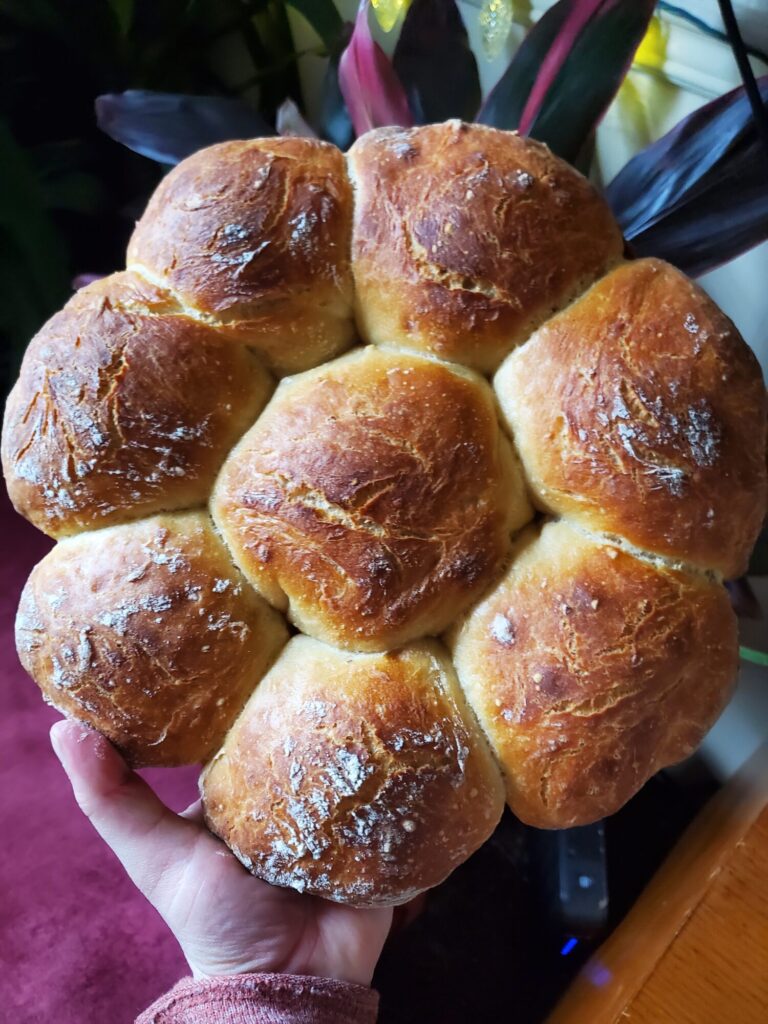 No-knead Dutch Oven Bread