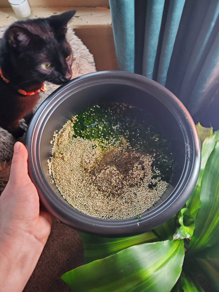 Quinoa w/ Spinach, Ginger & Yams