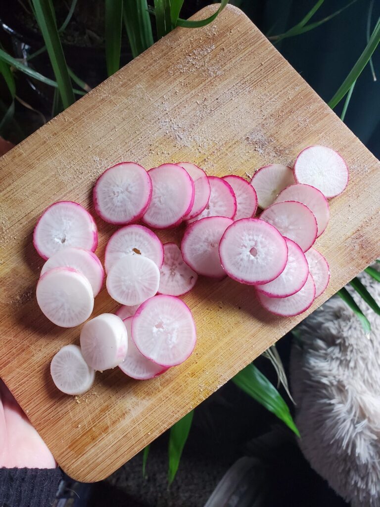 Falafel w/ Hummus, Tzatziki, Radish, & Sprouts, Garden