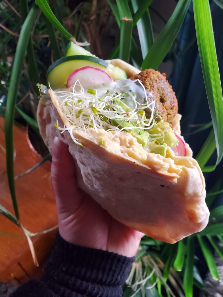 Falafel w/ Hummus, Tzatziki, Radish, & Sprouts