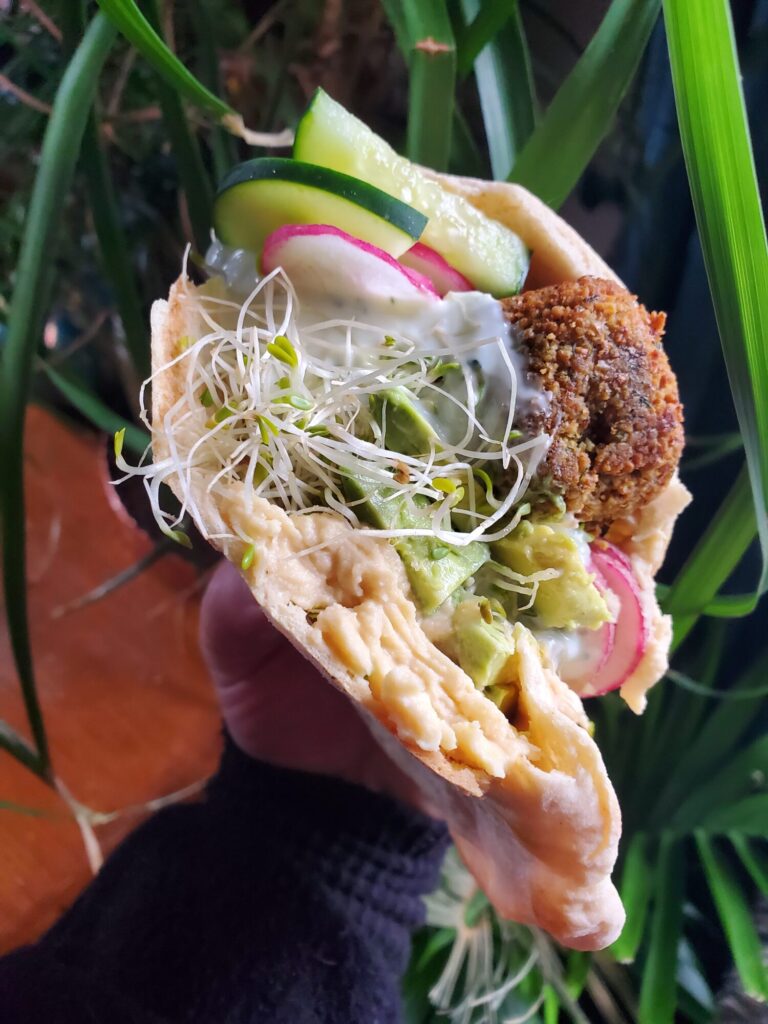 Falafel w/ Hummus, Tzatziki, Radish, Cucumber, & Sprouts