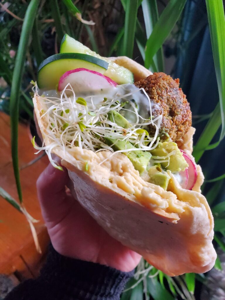 Falafel w/ Hummus, Tzatziki, Radish, Cucumber, & Sprouts