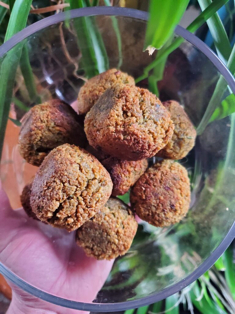 Falafel w/ Dill & Green Onions