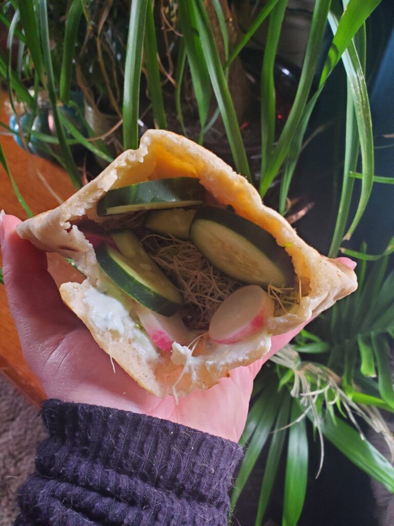 Falafel w/ Hummus, Tzatziki, Radish, Cucumber, & Sprouts