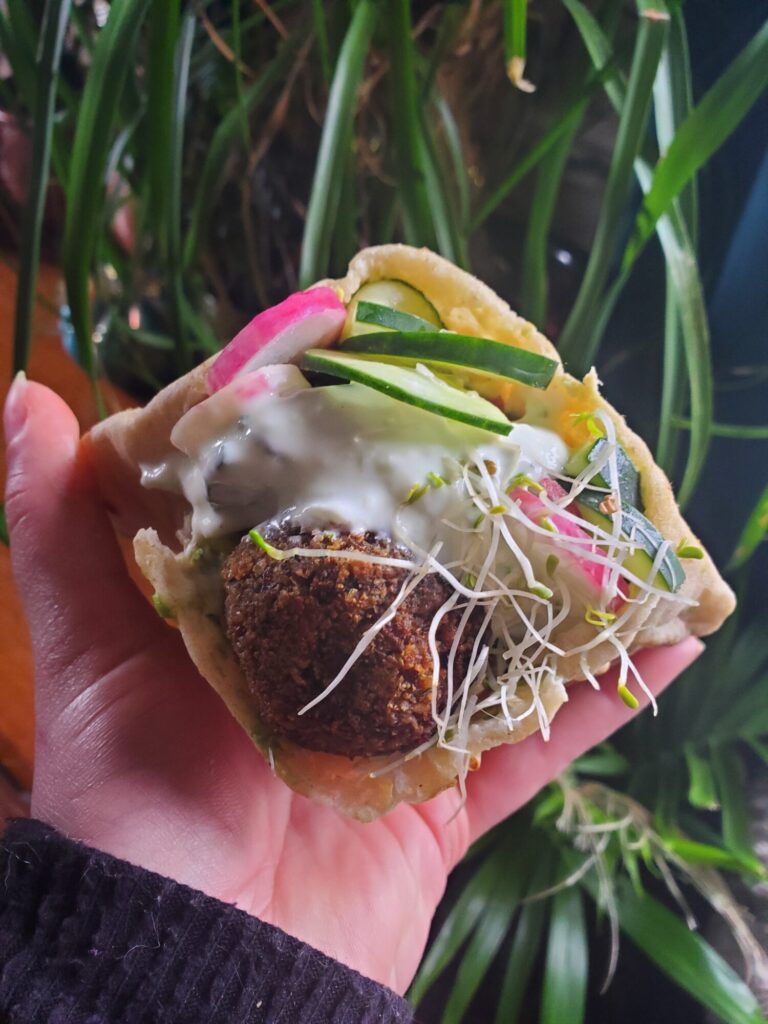 Falafel w/ Hummus, Tzatziki, Radish, Cucumber, & Sprouts