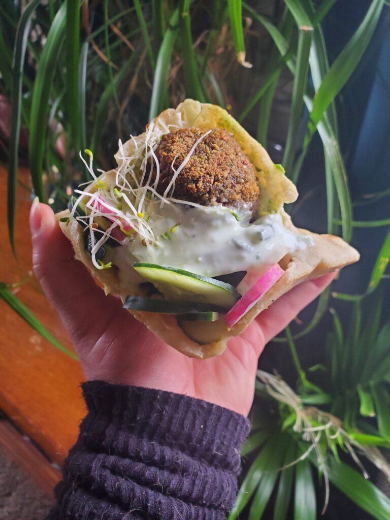 Falafel w/ Hummus, Tzatziki, Radish, Cucumber, & SproutsFalafel w/ Hummus, Tzatziki, Radish, & Sprouts