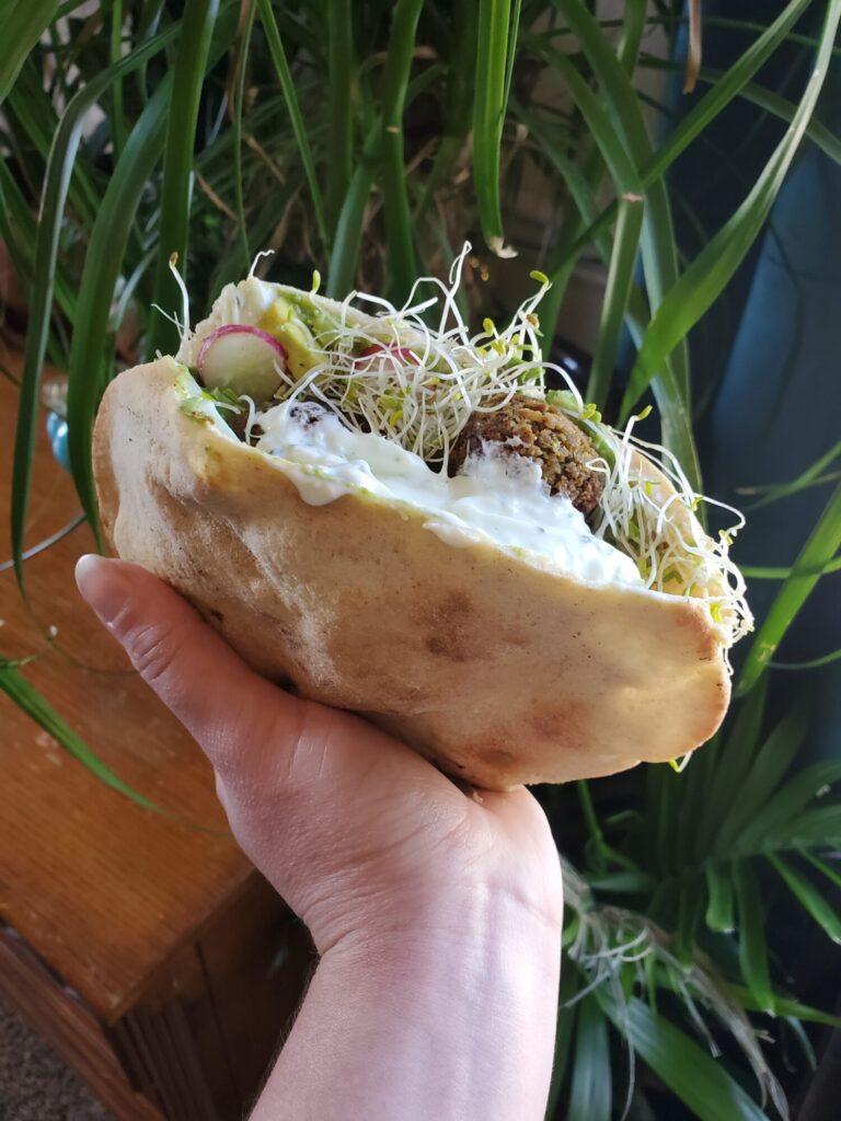 Falafel w/ Hummus, Tzatziki, Radish, Cucumber, & Sprouts