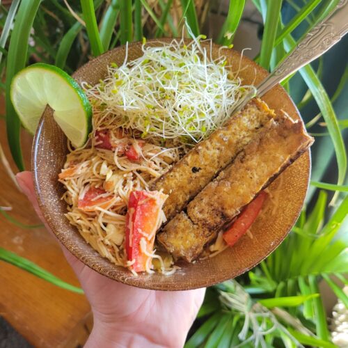 Vermicelli Salad w/ Bell Peppers, Tofu, & Peanuts