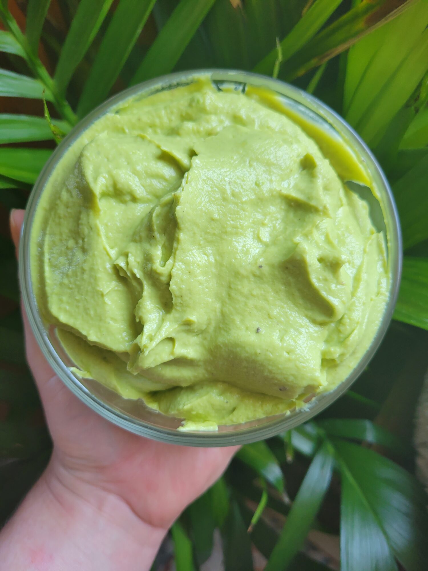 Avocado Dip w/ Greek Yogurt, Tahini, & Lime