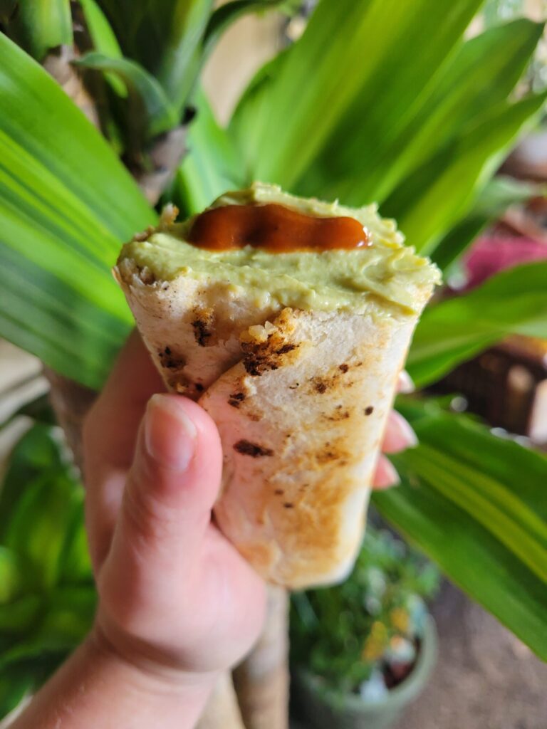 Burrito w/ Sweet Potato Quinoa & Avocado Dip