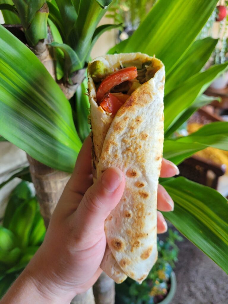 Burrito w/ Salmon, Vermicelli Salad, & Avocado Dip