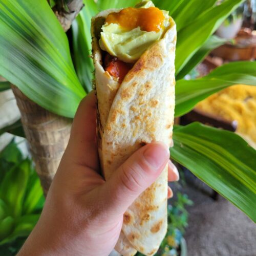 Burrito w/ Salmon, Vermicelli Salad, & Avocado Dip