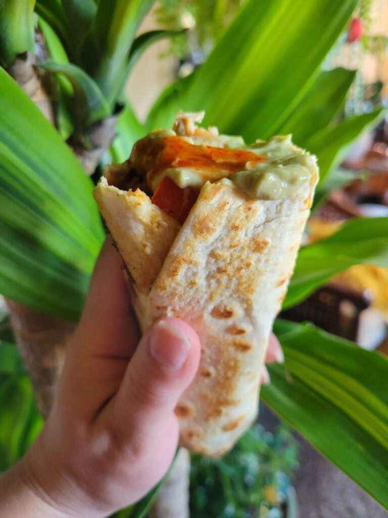 Burrito w/ Salmon, Vermicelli Salad, & Avocado Dip