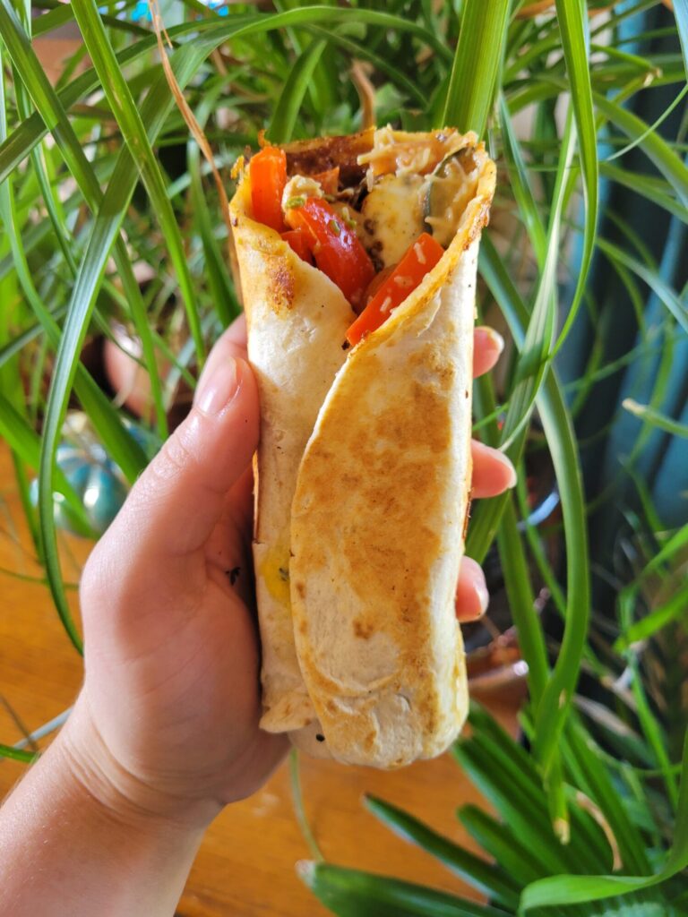 Burrito w/ Salmon, Vermicelli Salad, & Avocado Dip