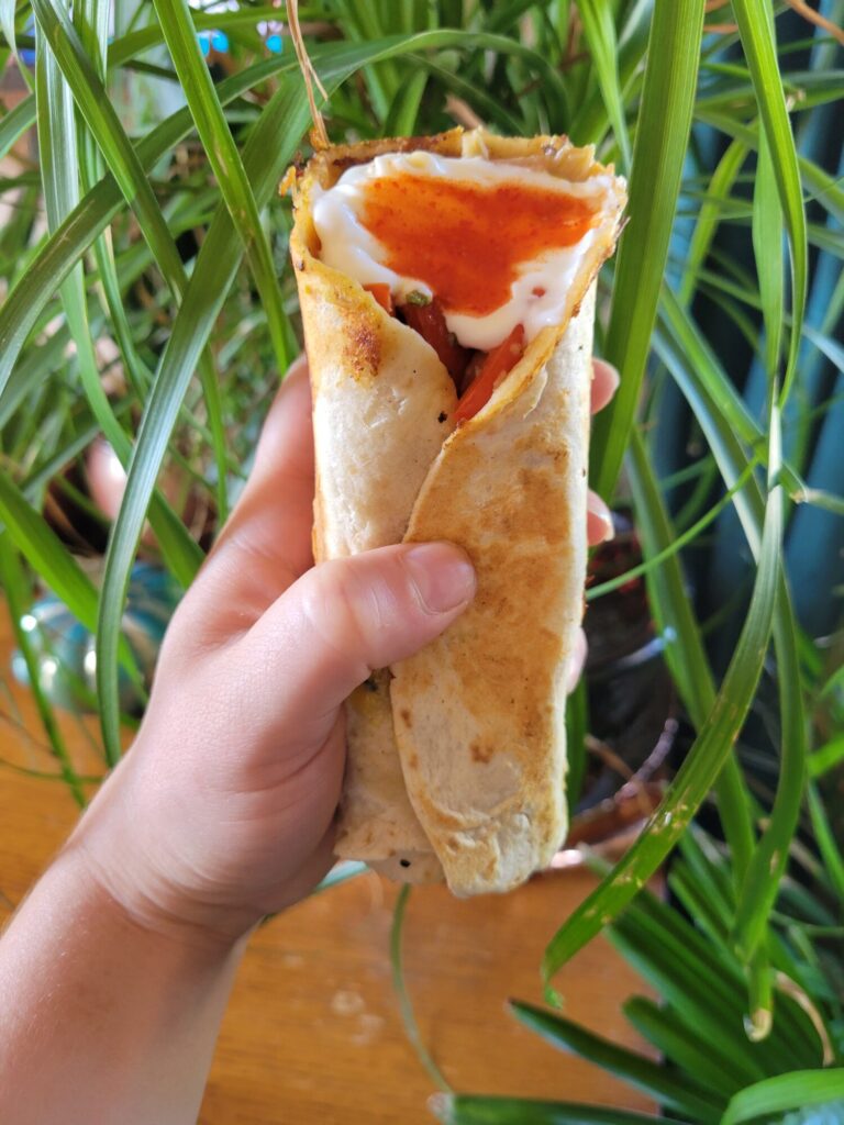 Burrito w/ Salmon, Vermicelli Salad, & Avocado Dip