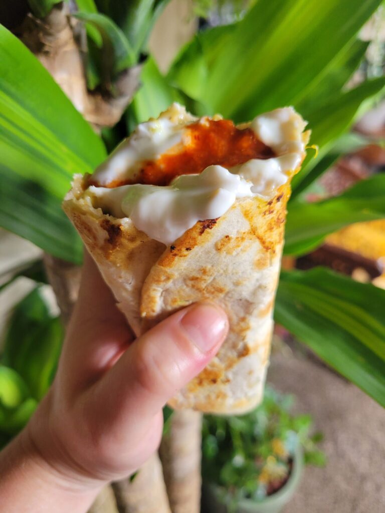 Burrito w/ Vermicelli, Avocado Dip, & Runny Egg