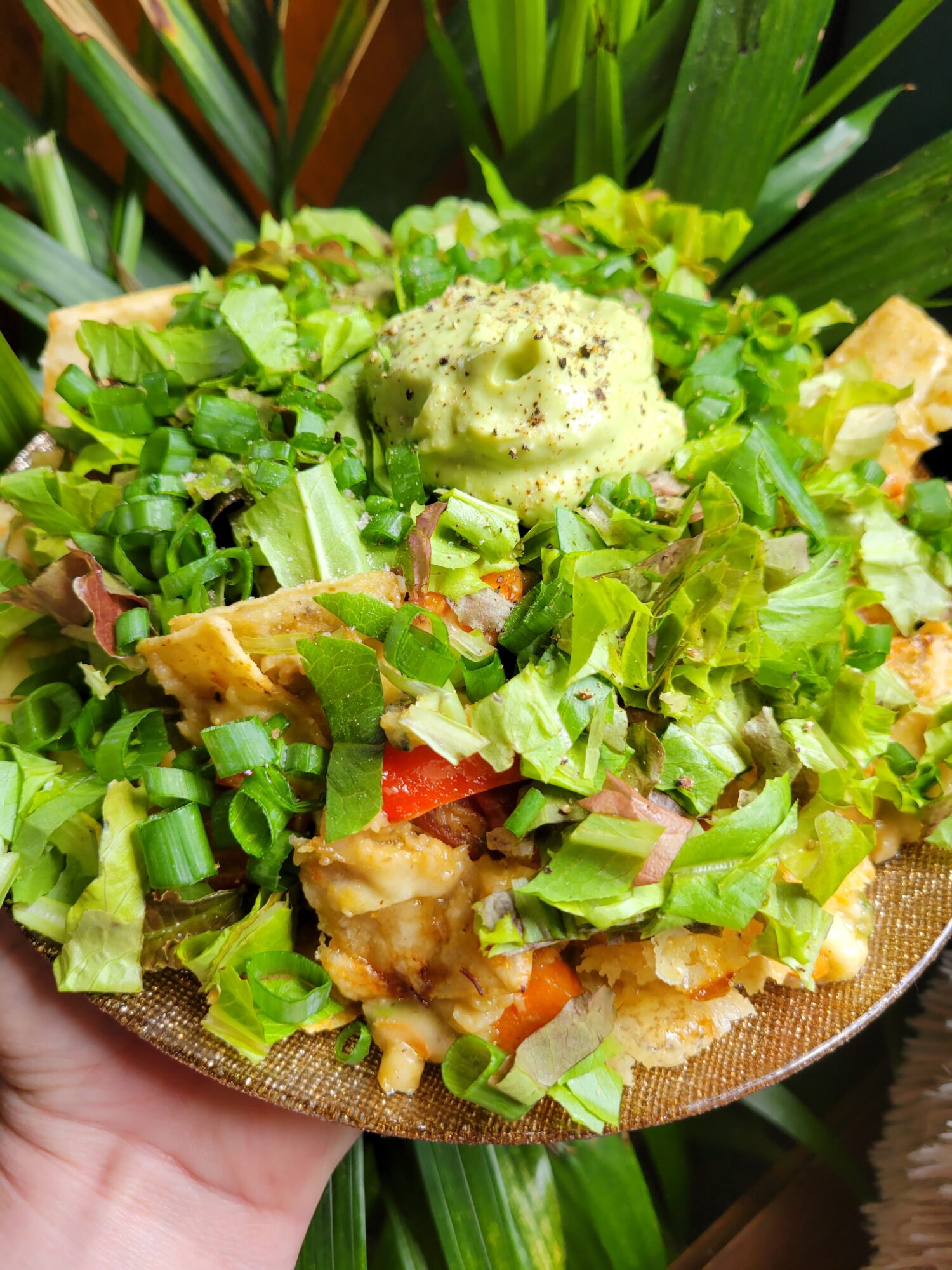 Nachos w/ Vermicelli, Lettuce, & Avocado Dip