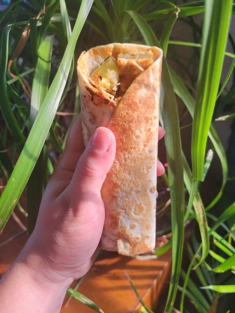 Burrito w/ Vermicelli Salad, Tofu, & Avocado Dip