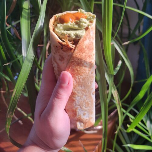 Burrito w/ Vermicelli Salad, Tofu, & Avocado Dip