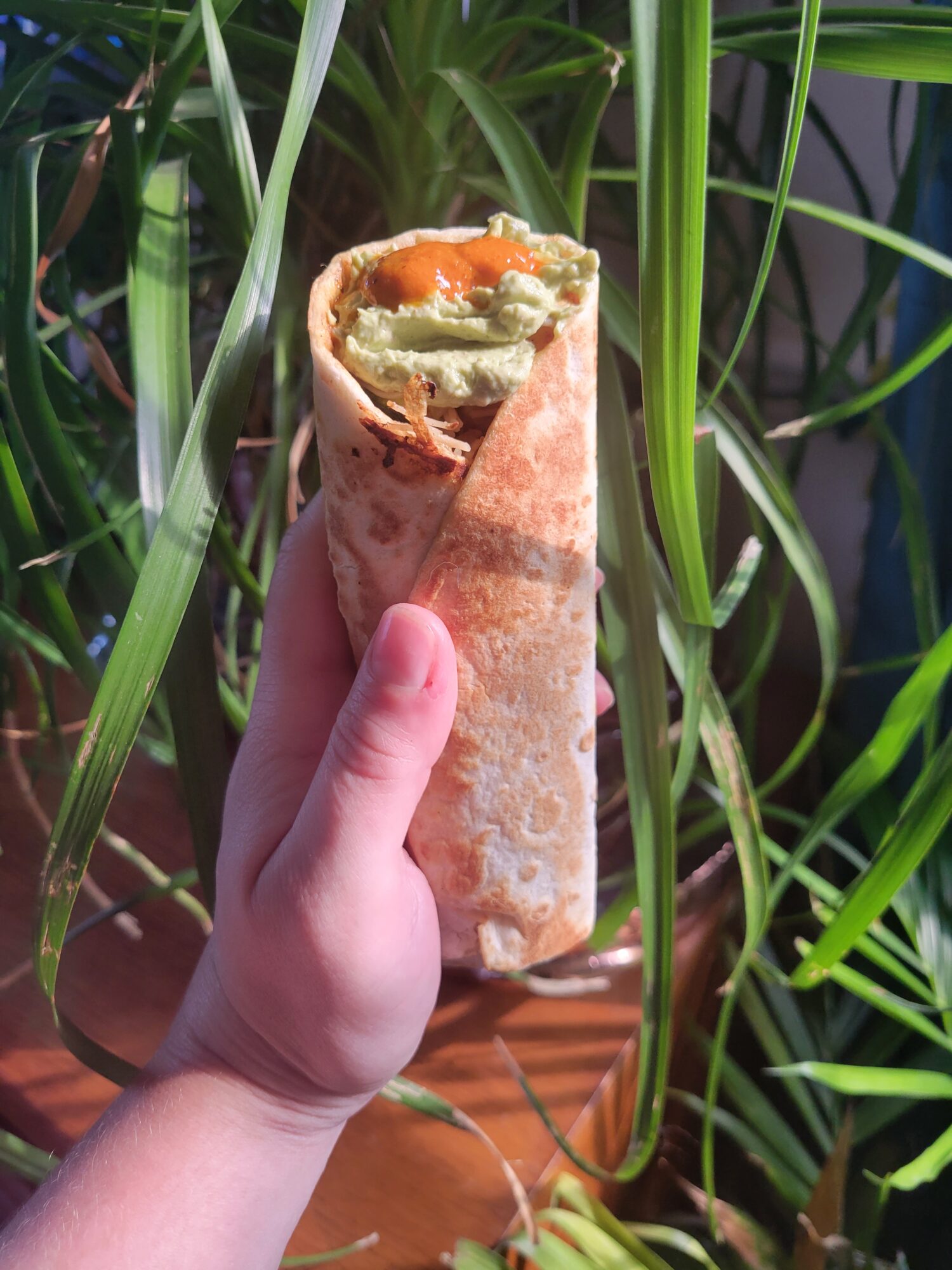 Burrito w/ Vermicelli Salad, Tofu, & Avocado Dip