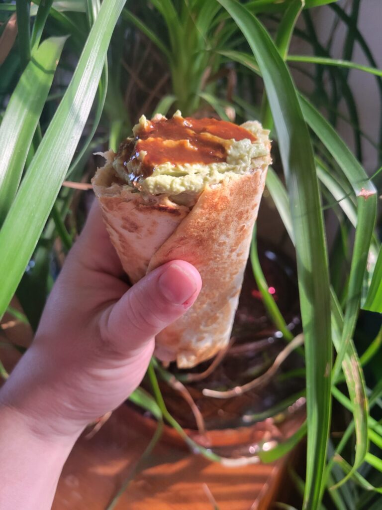 Burrito w/ Vermicelli Salad, Tofu, & Avocado Dip