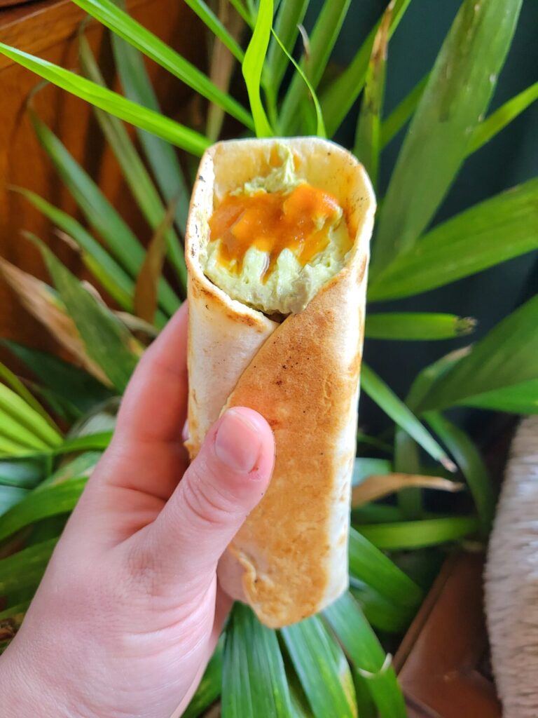 Burrito w/ Spinach Pie & Avocado Dip