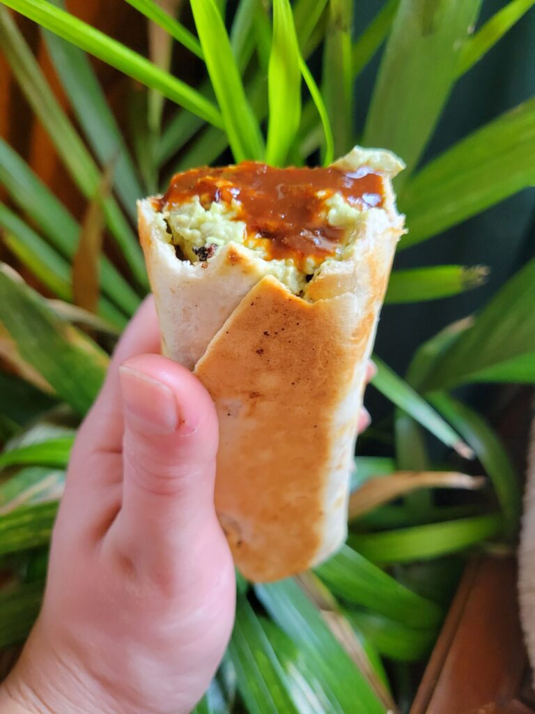 Burrito w/ Spinach Pie & Avocado Dip