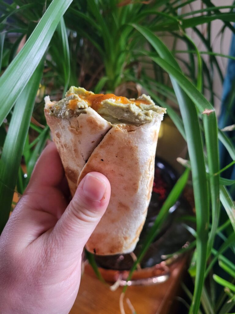 Burrito w/ Spinach Pie & Avocado Dip