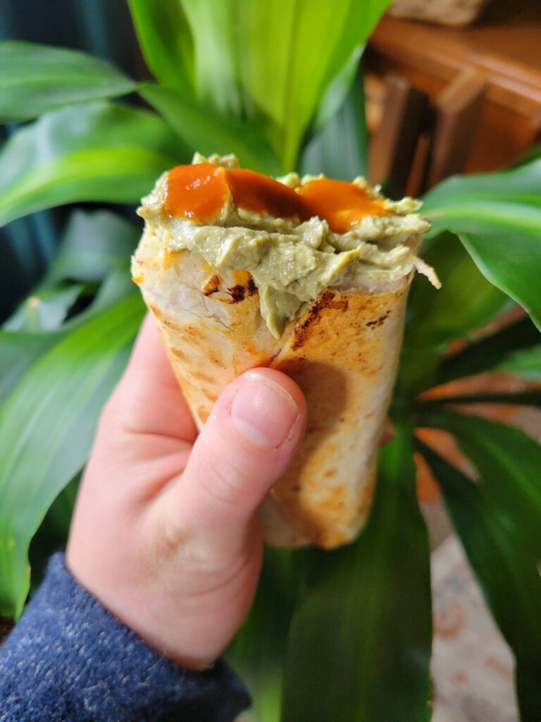 Burrito w/ Spinach Pie & Avocado Dip