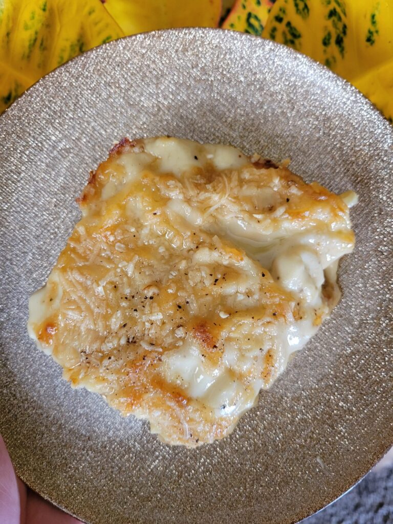 Macaroni & Cheese w/ Greek Yogurt