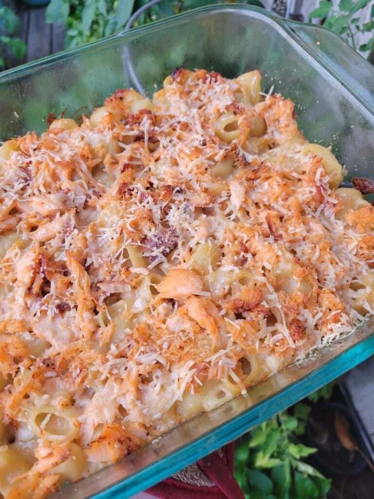 Macaroni & Cheese w/ Greek Yogurt & Salmon