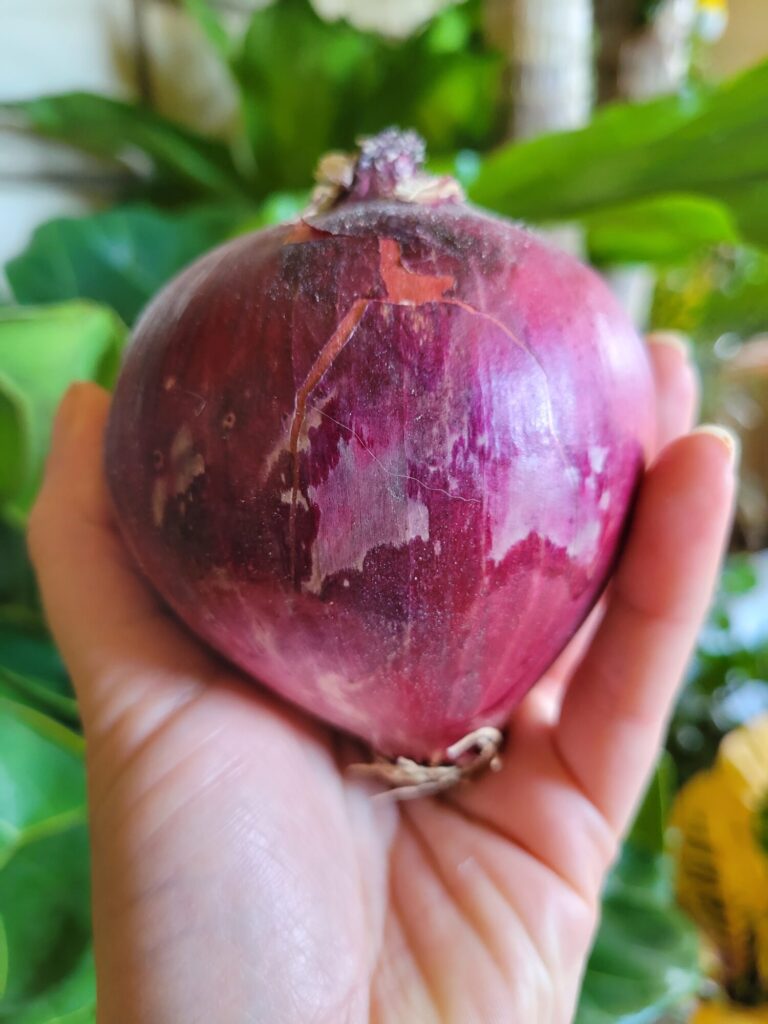 Red Onions, Produce Substitutions