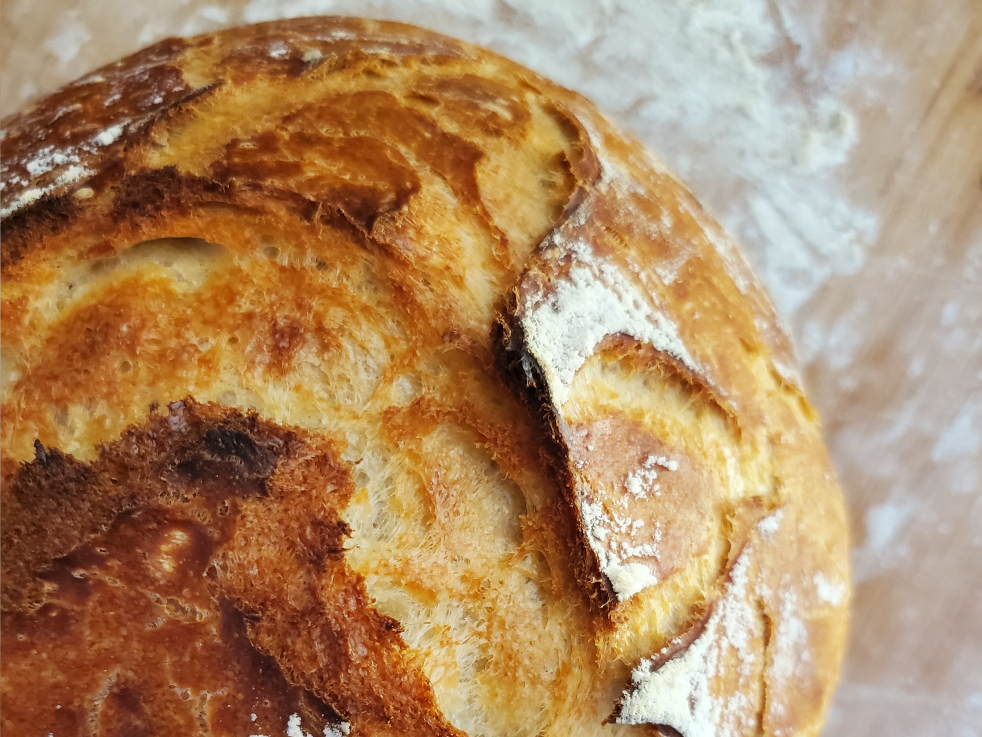 Homemade Dutch Oven Bread with Whipped Honey Butter