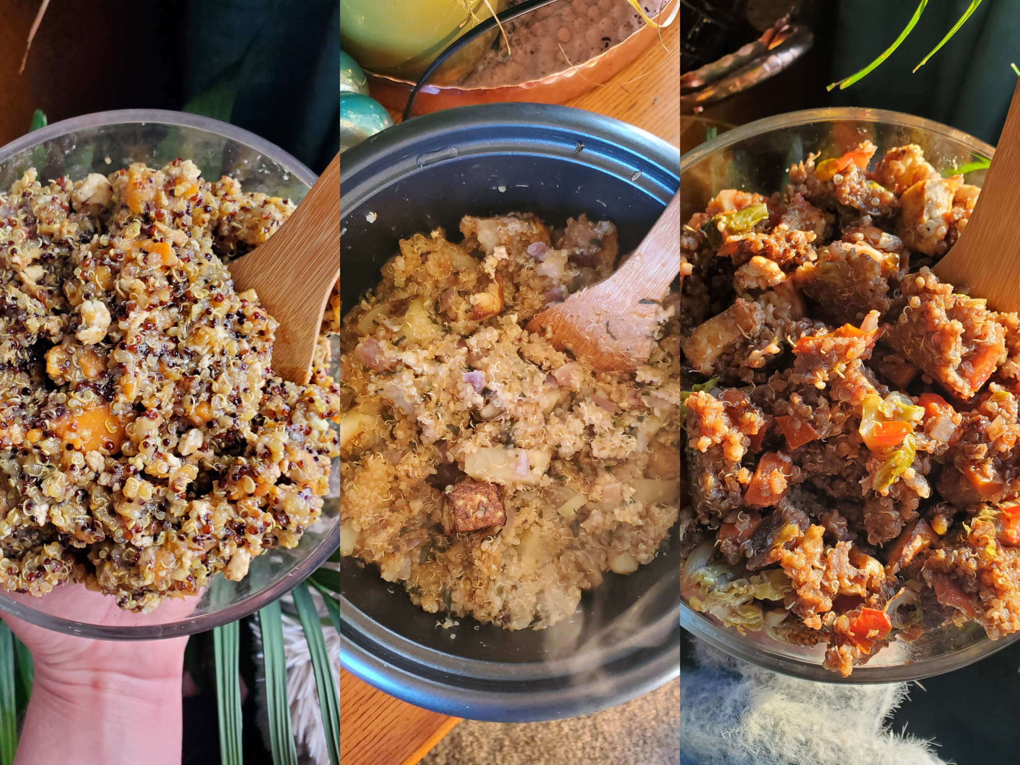 The Fundamentals of Making Quinoa