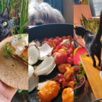 Top 5 Tips for Cooking w/ Pets & Other Distractions