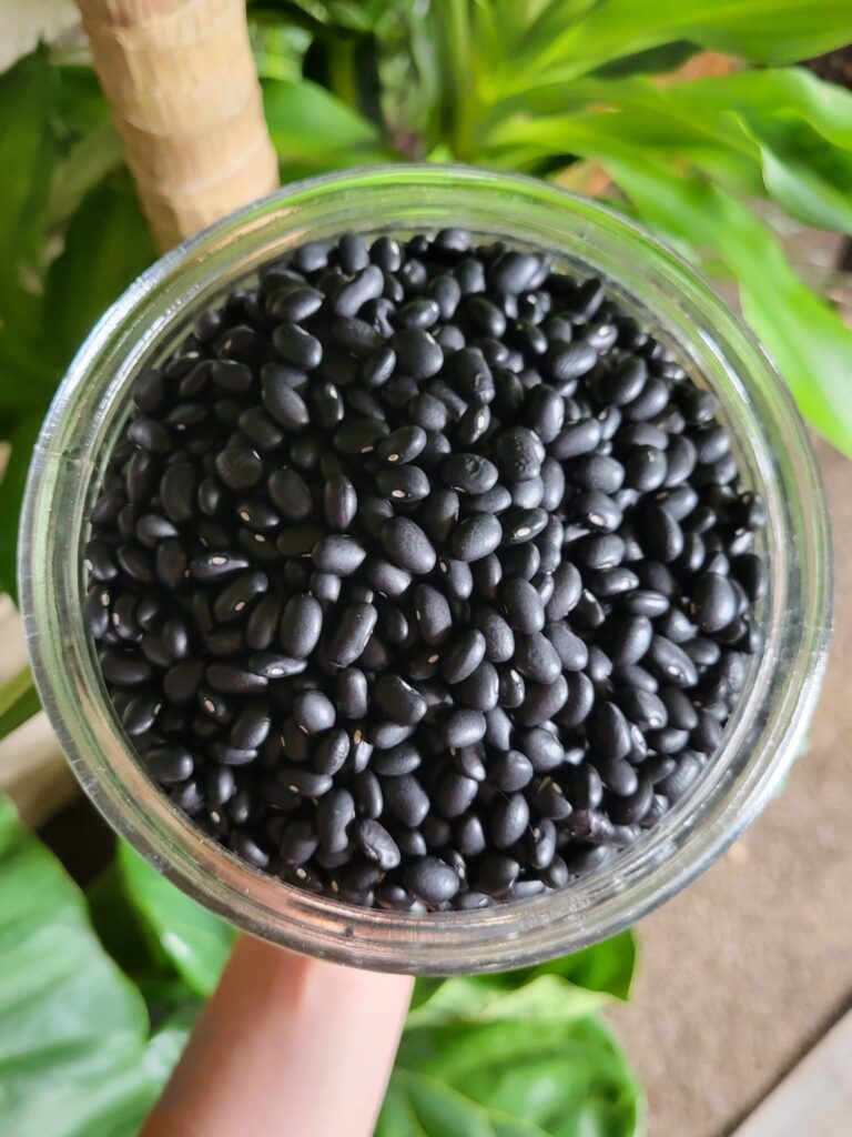 Black Beans, Produce