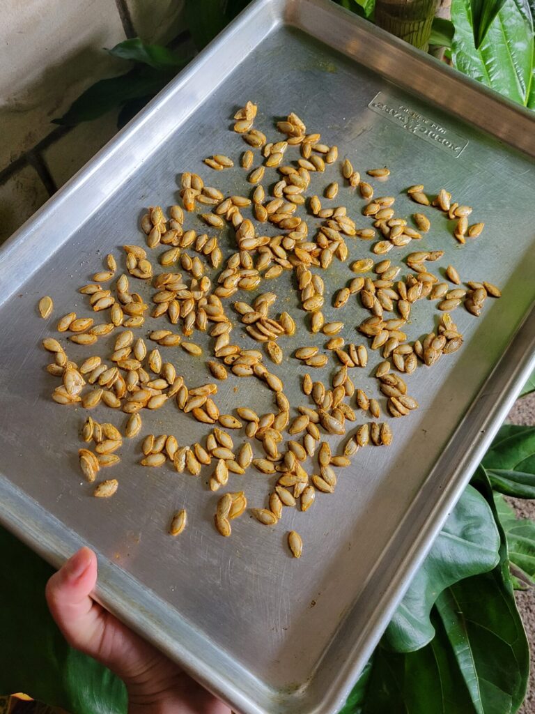 Roasted Calabaza Squash Seeds
